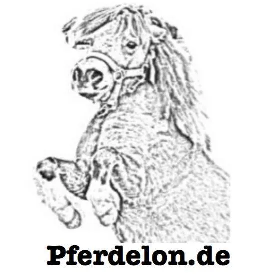 pferdelon.de