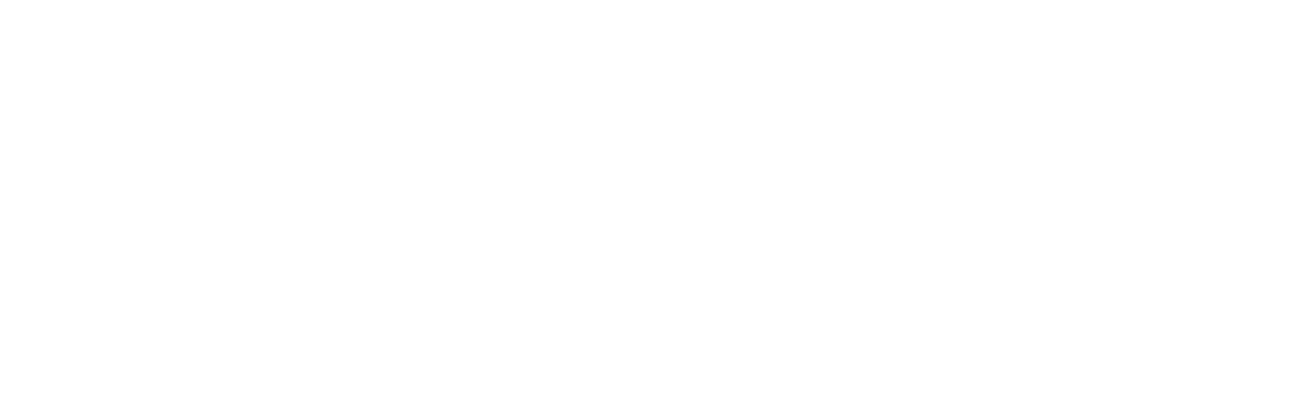 fitgun.com