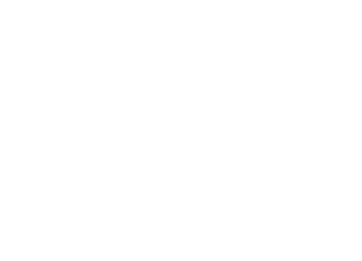 bulldart.de